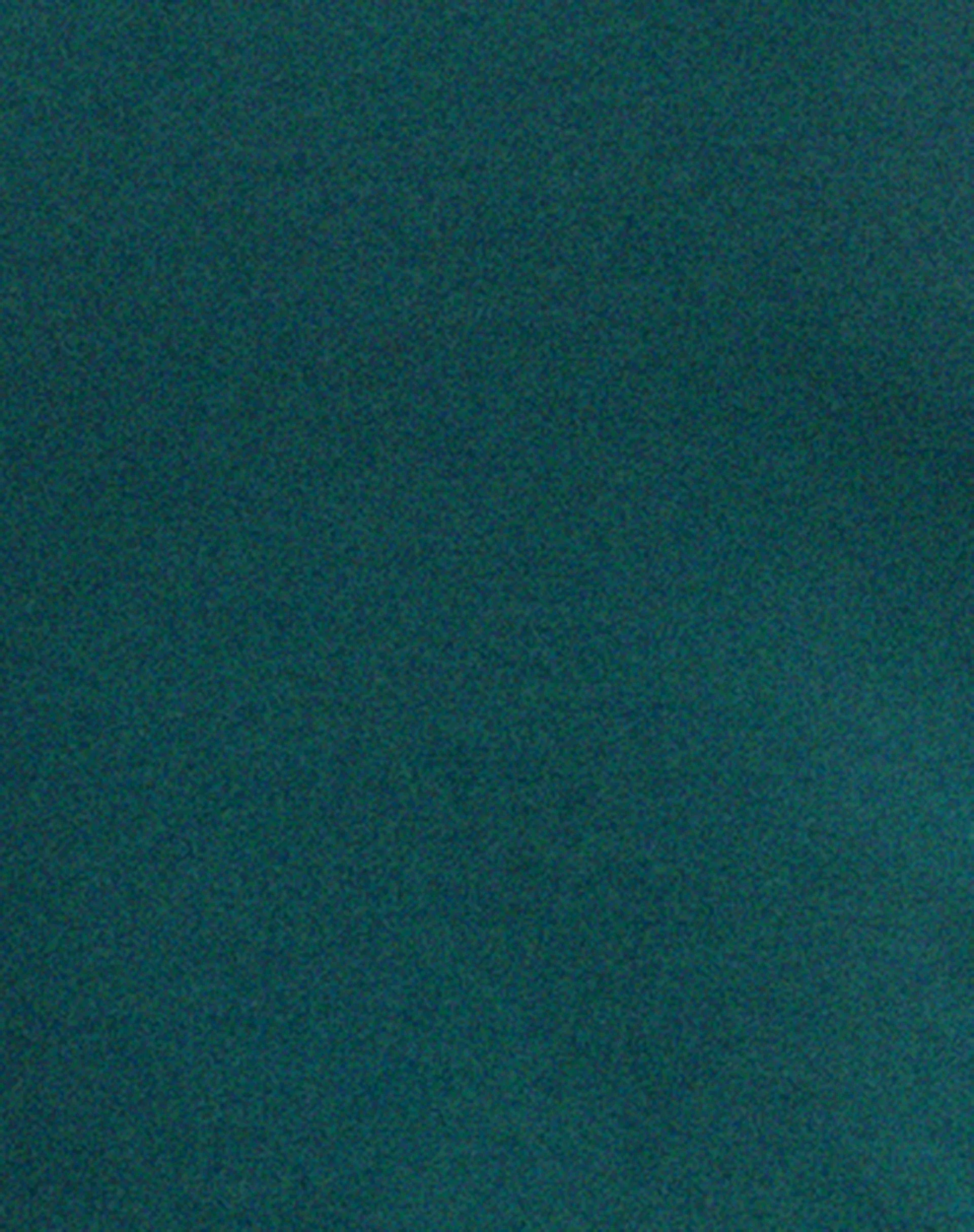 Brandy Long Sleeve Top in Bottle Green - Image 6