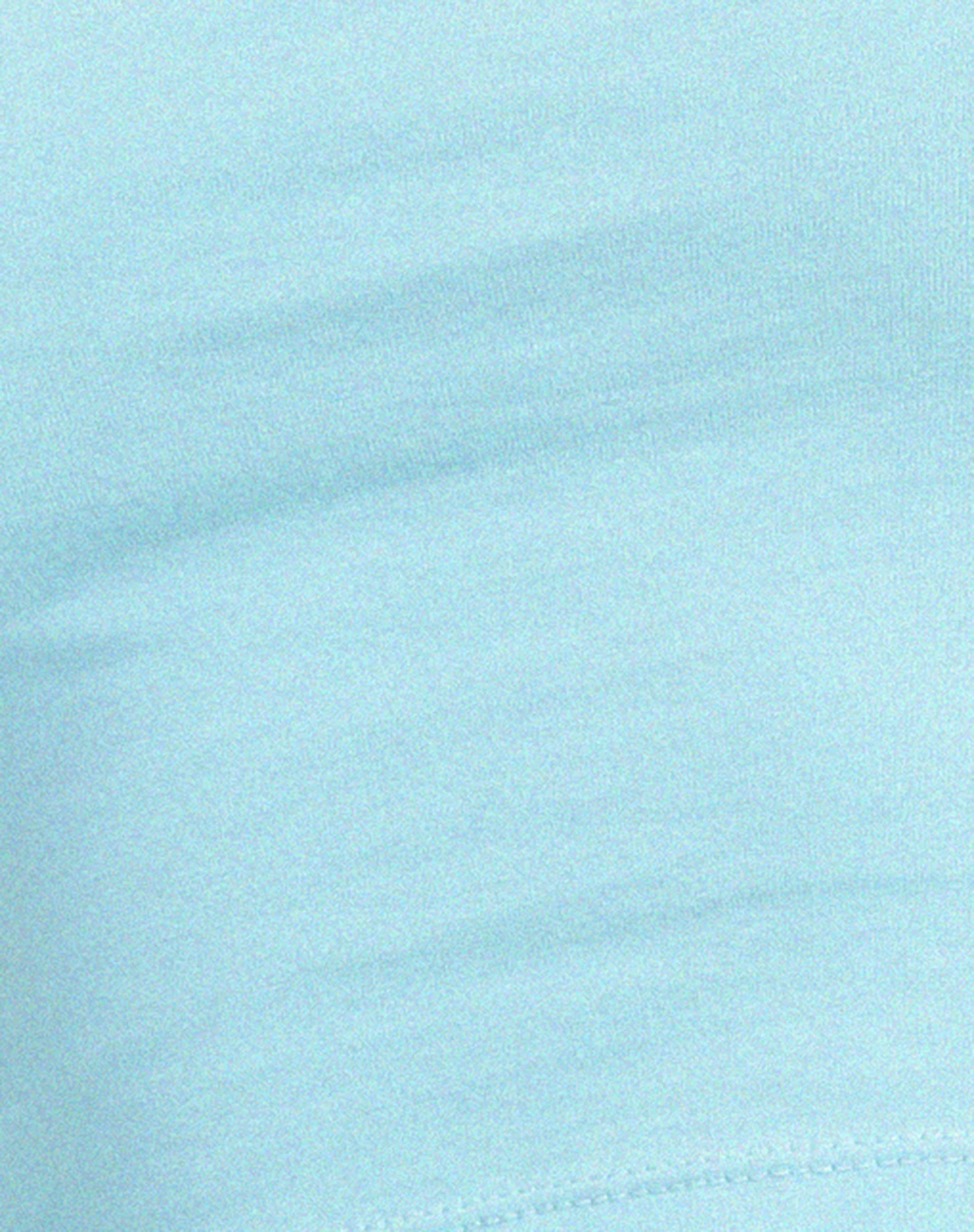 Brandy Long Sleeve Top in Petit Flour Blue - Image 5