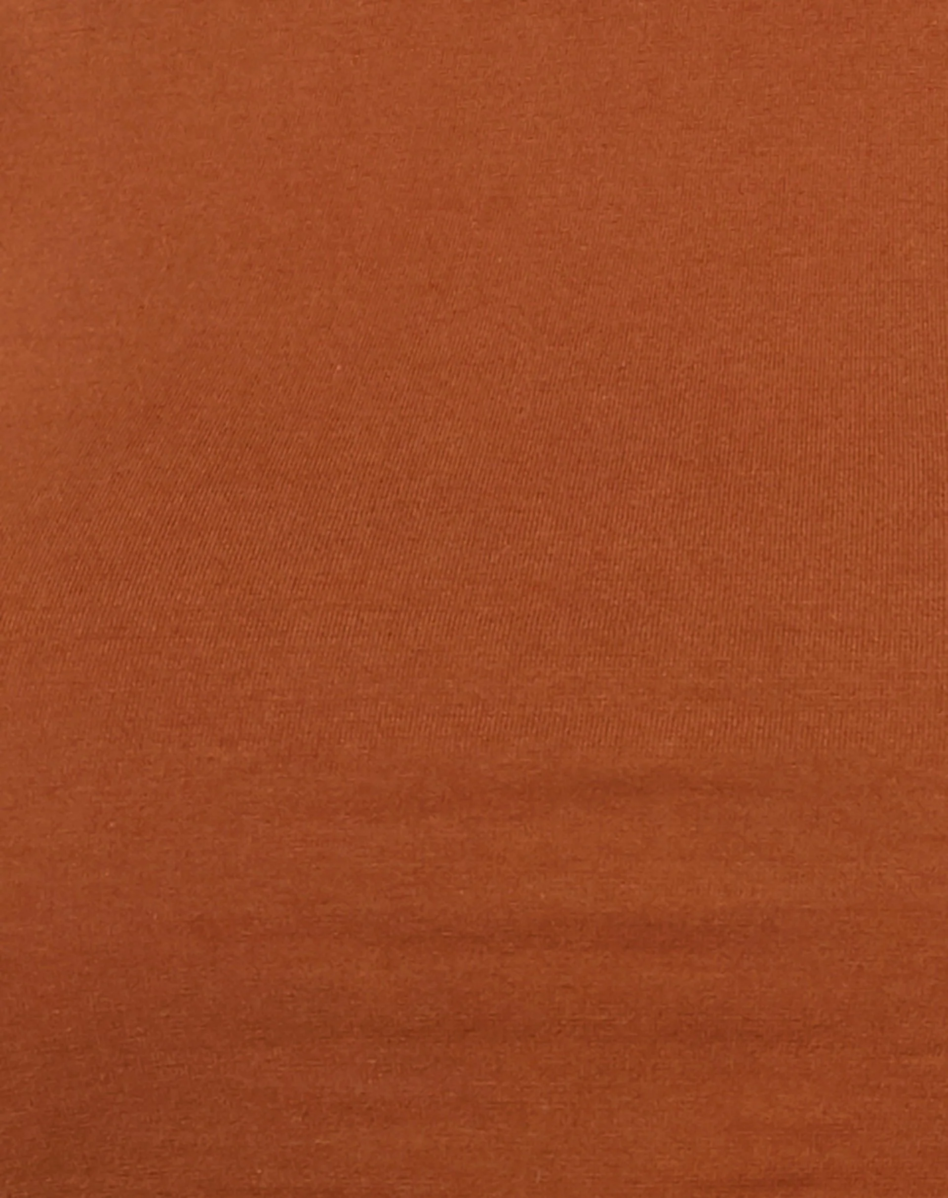Clias Crop Top in Bombay Brown - Image 5