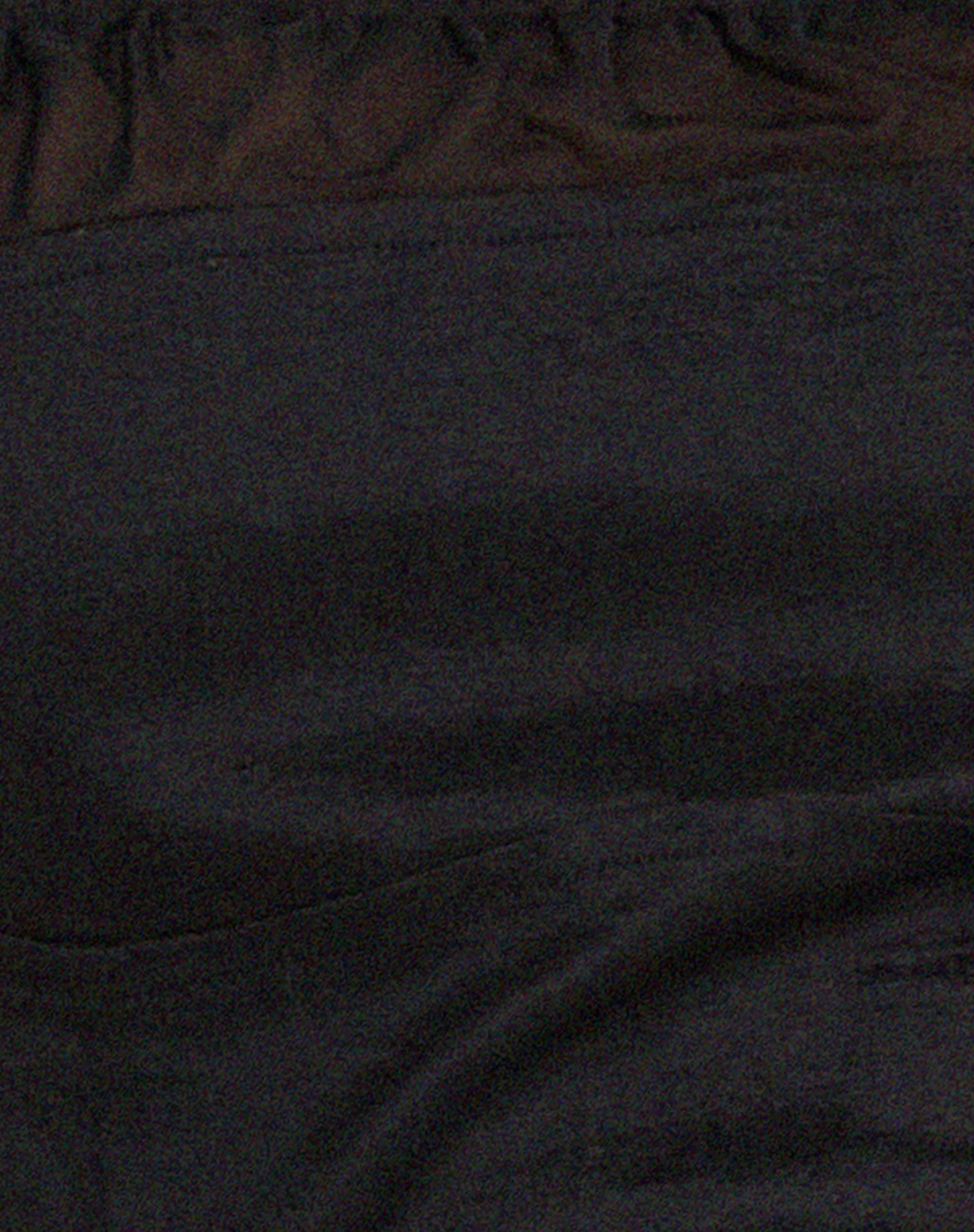 Eluca Cami Top in Black - Image 5