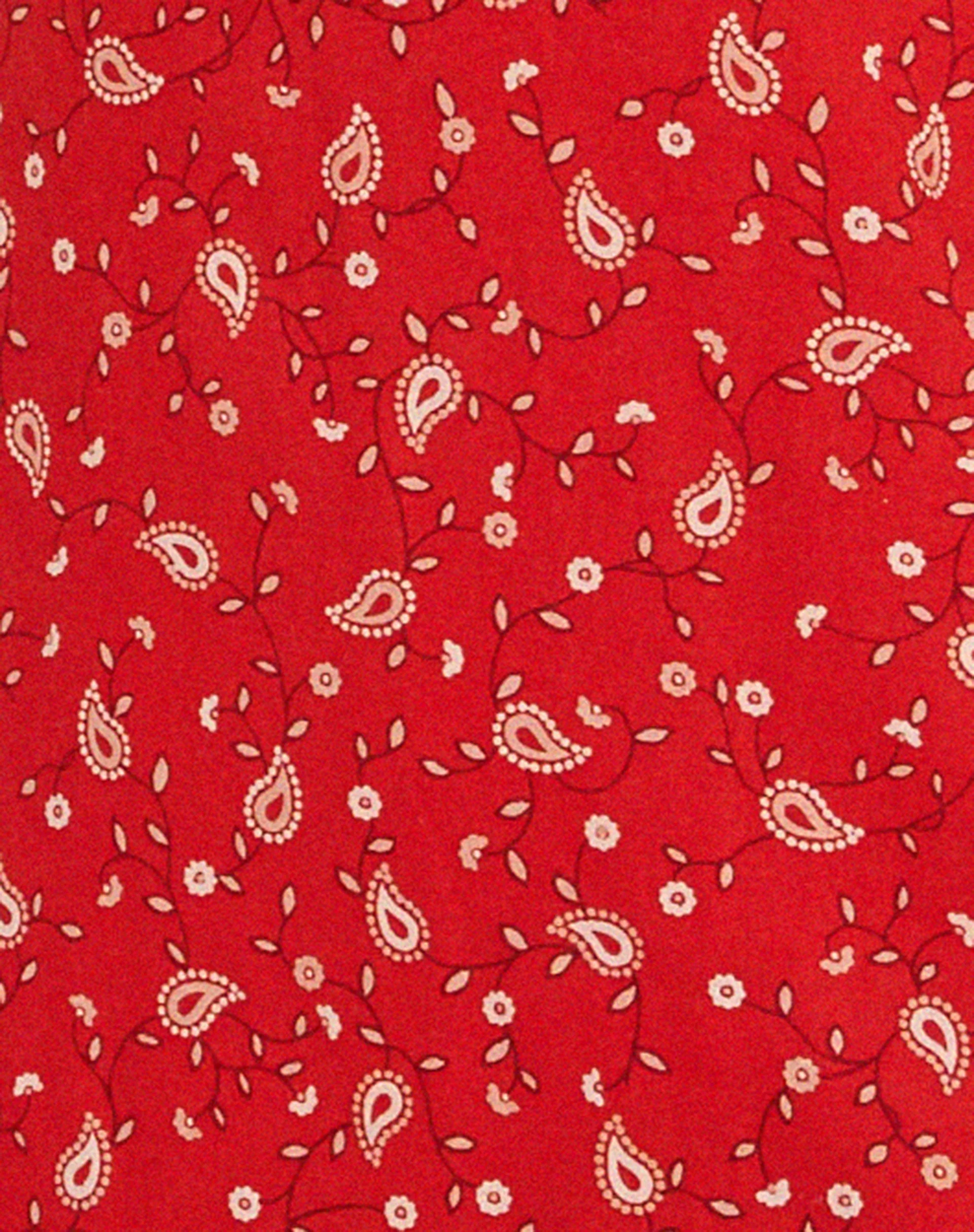 Eluned Day Dress in Paisley Fun Red - Image 7