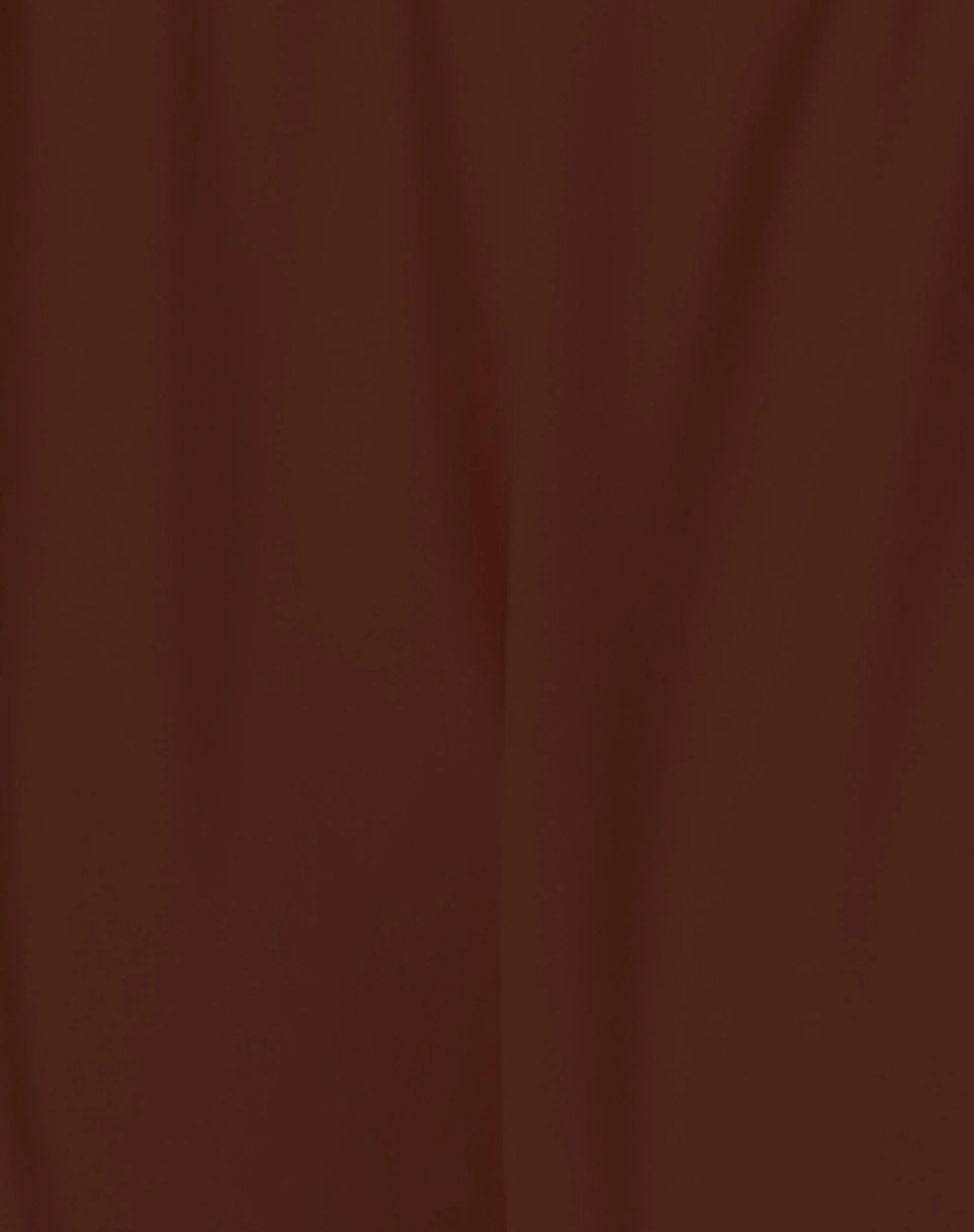 Farida Bikini Bottom in Dark Brown - Image 5