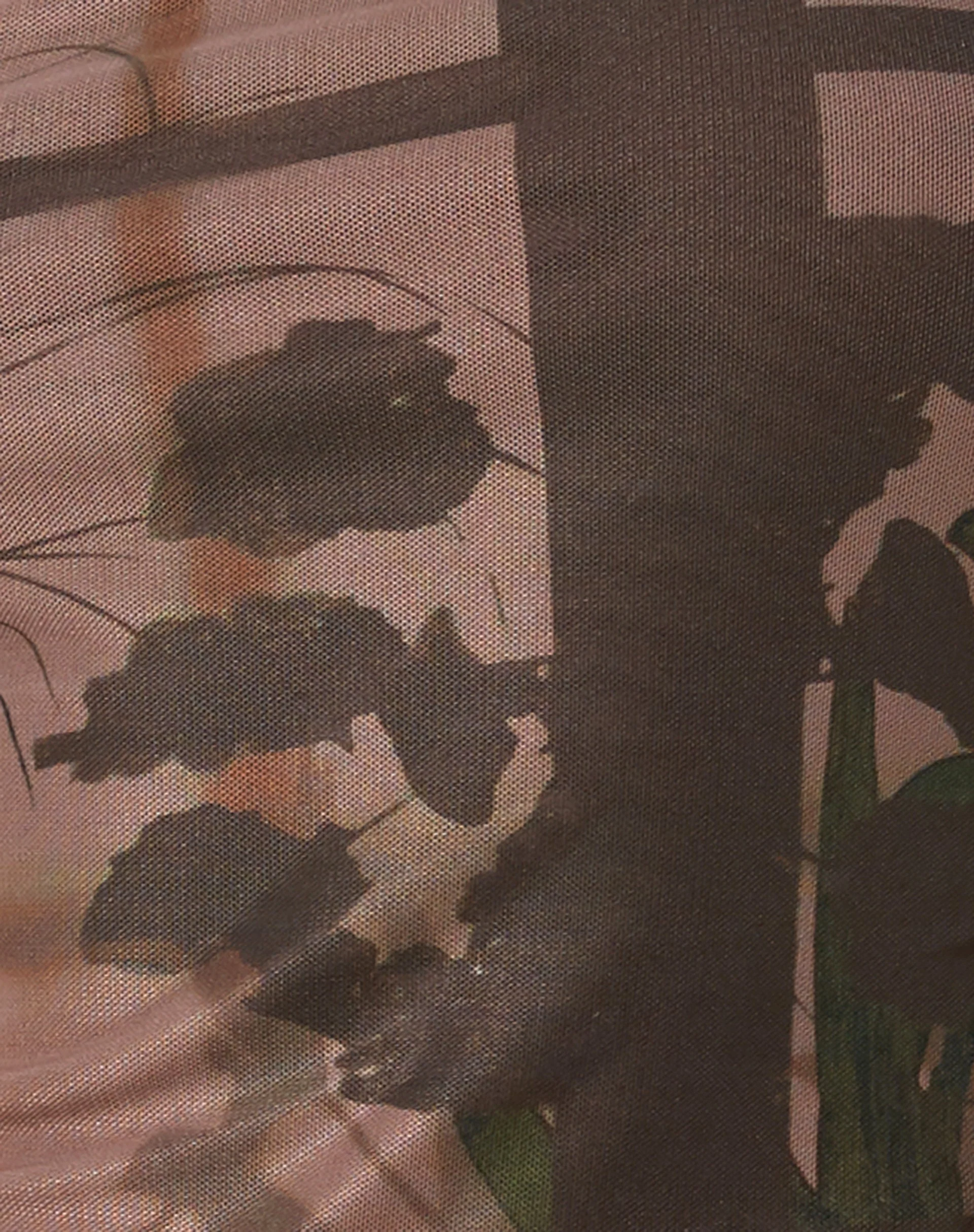 Iggy Crop Top in Photo Brown - Image 6