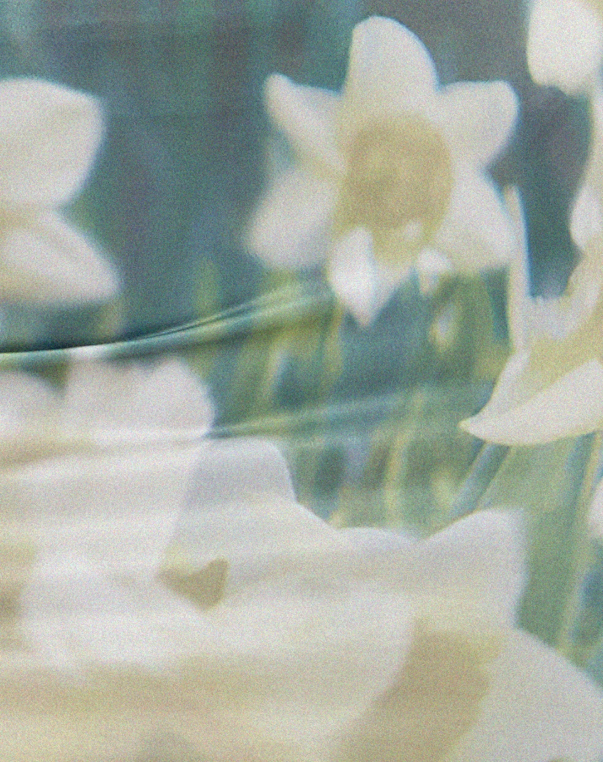 Kinan Mini Skirt in Digi Flower - Image 7