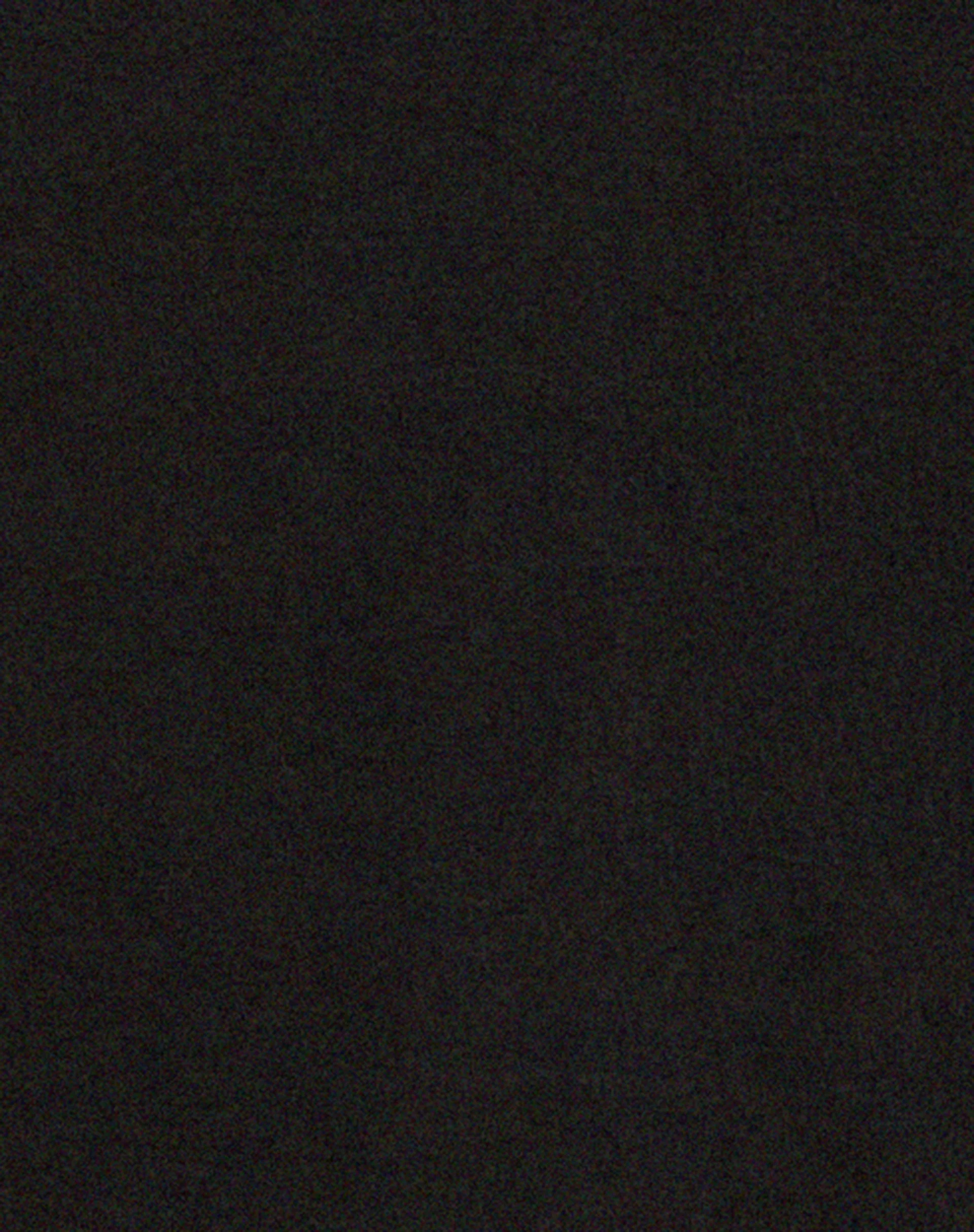 Tulus Low Rise Maxi Skirt in Black - Image 6
