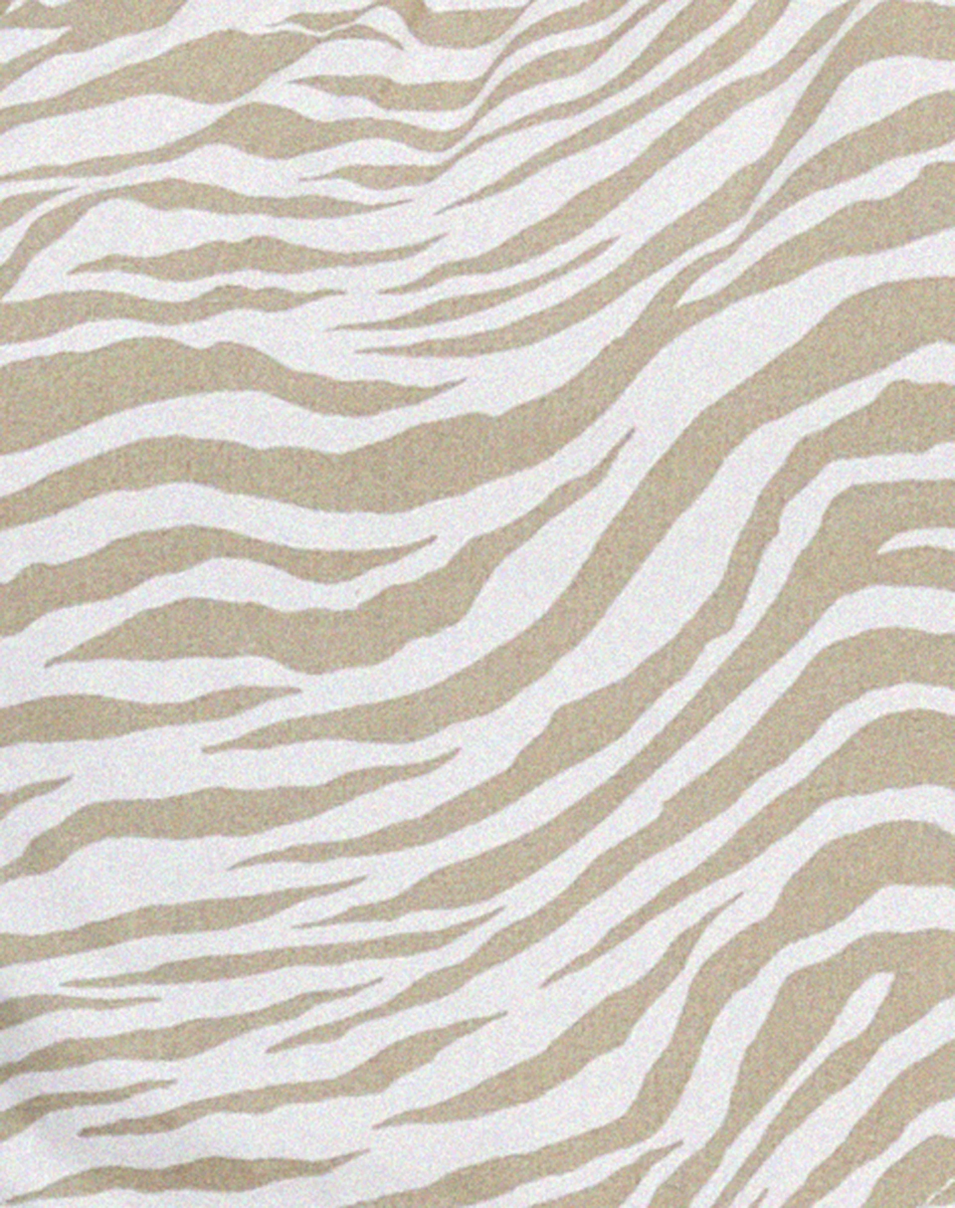 Nolda Crop Top in Tonal Zebra - Image 6