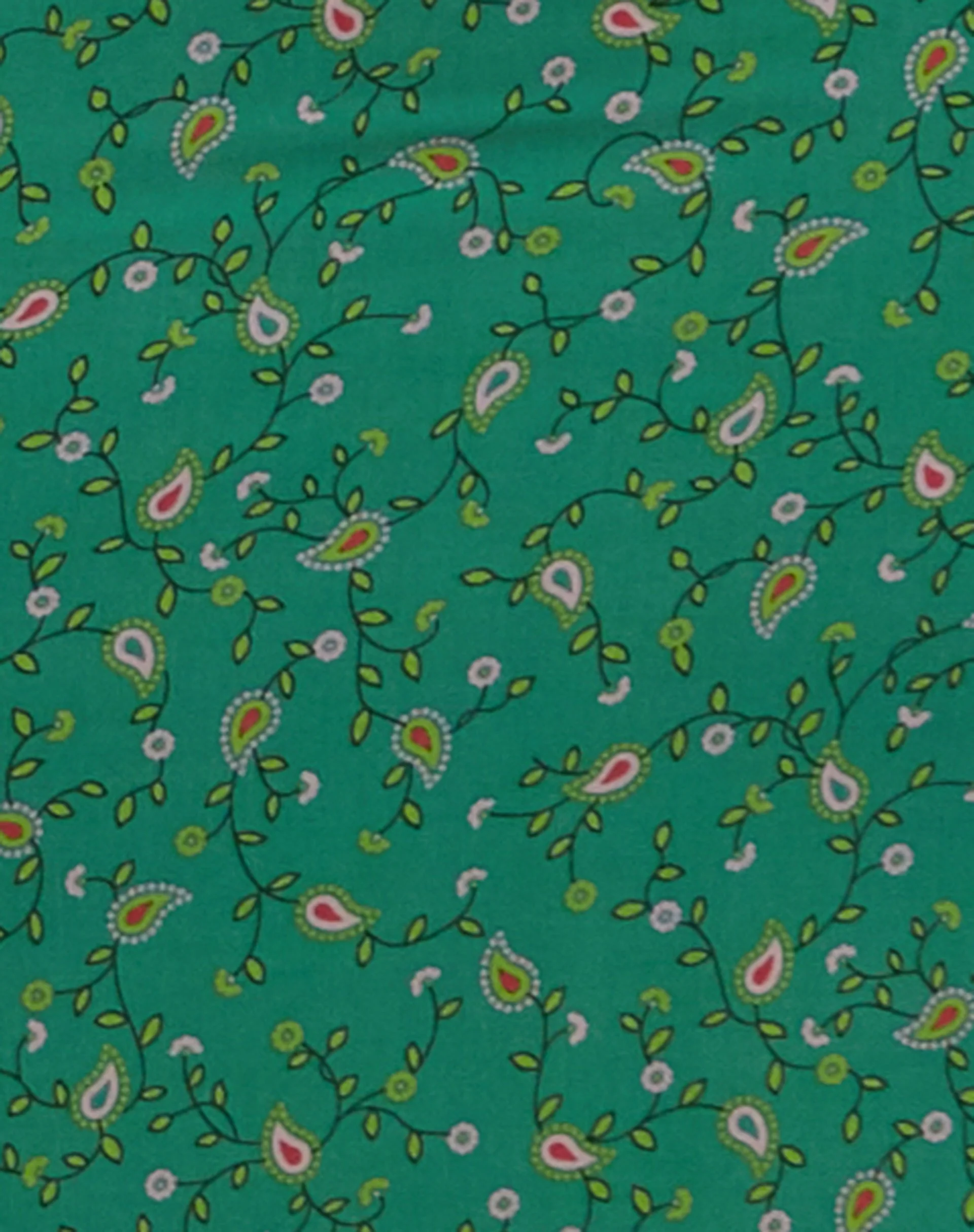 Nosita Midi Dress In Paisley Fun Green - Image 6