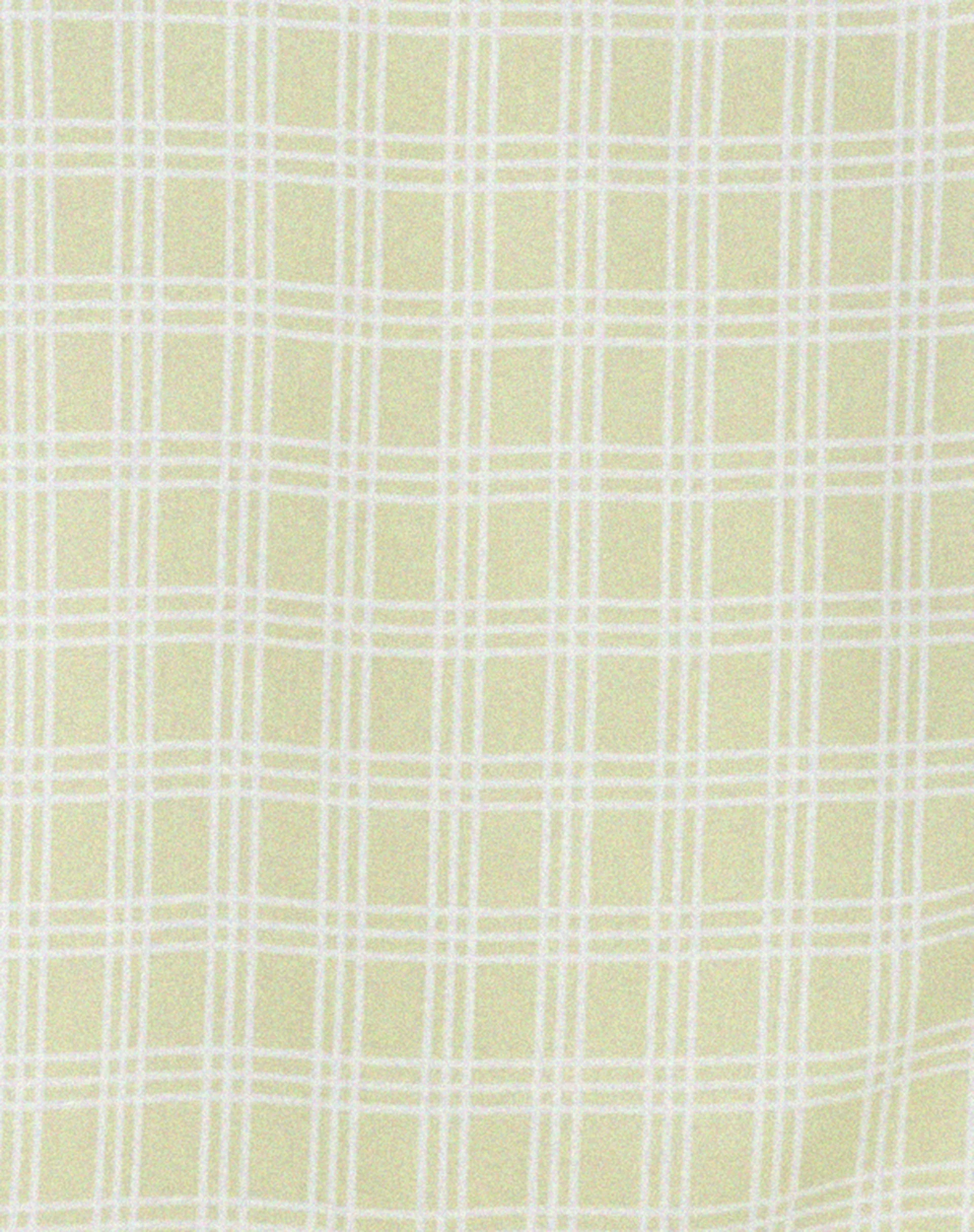 Nosita Midi Dress in Sage Check - Image 5