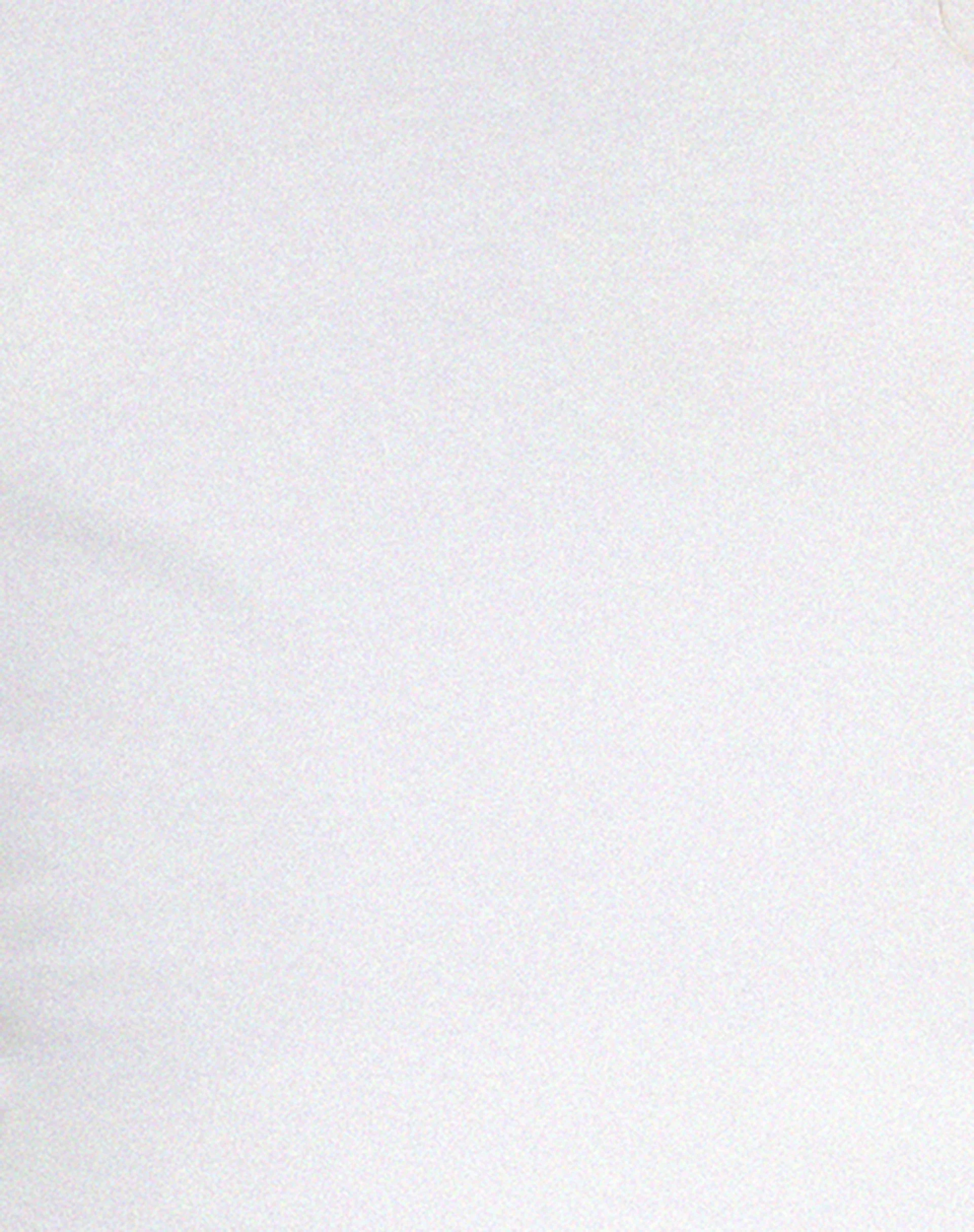 Pico Bardot Top in White - Image 5
