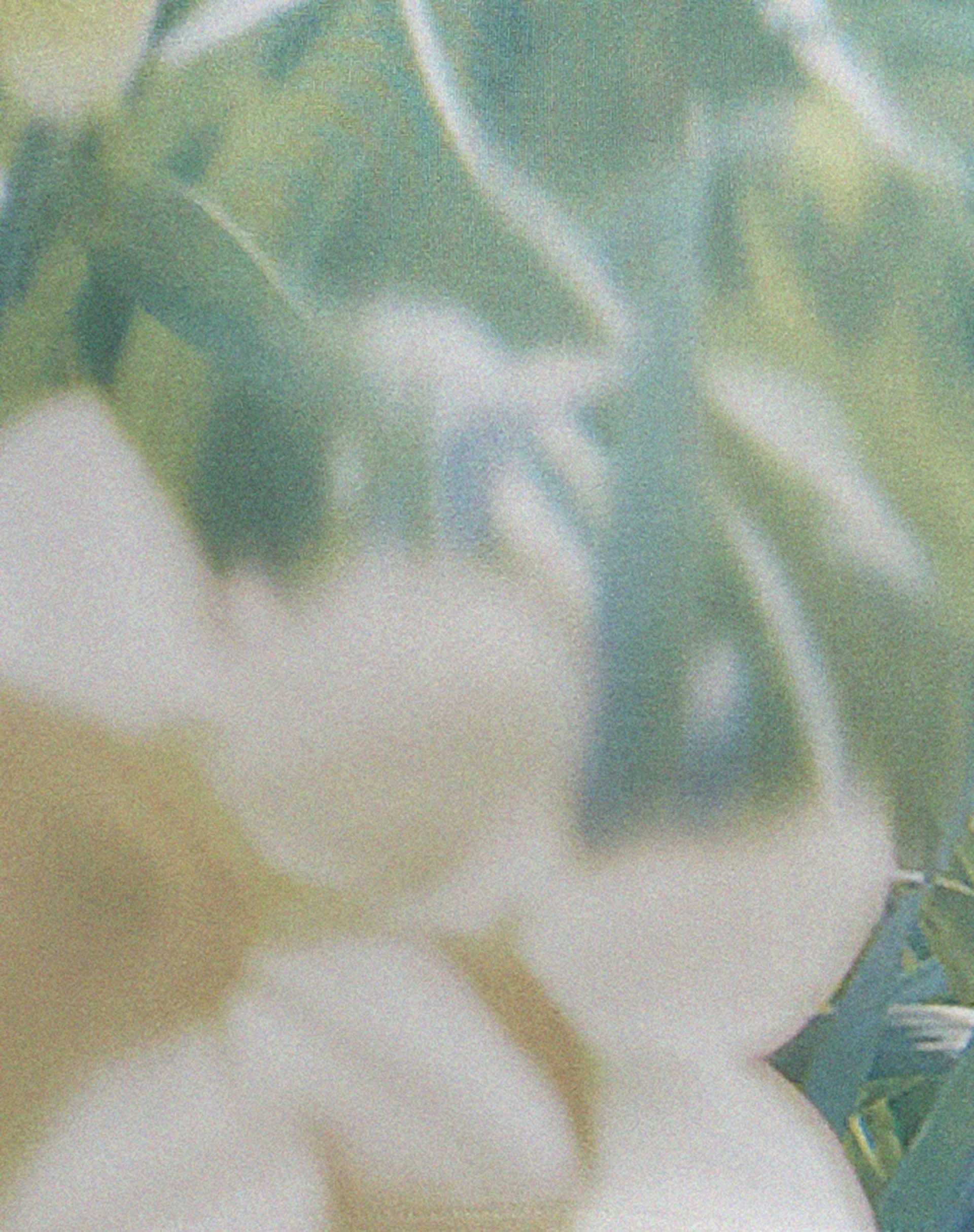 Saleh Mini Dress in Digi Flower - Image 6