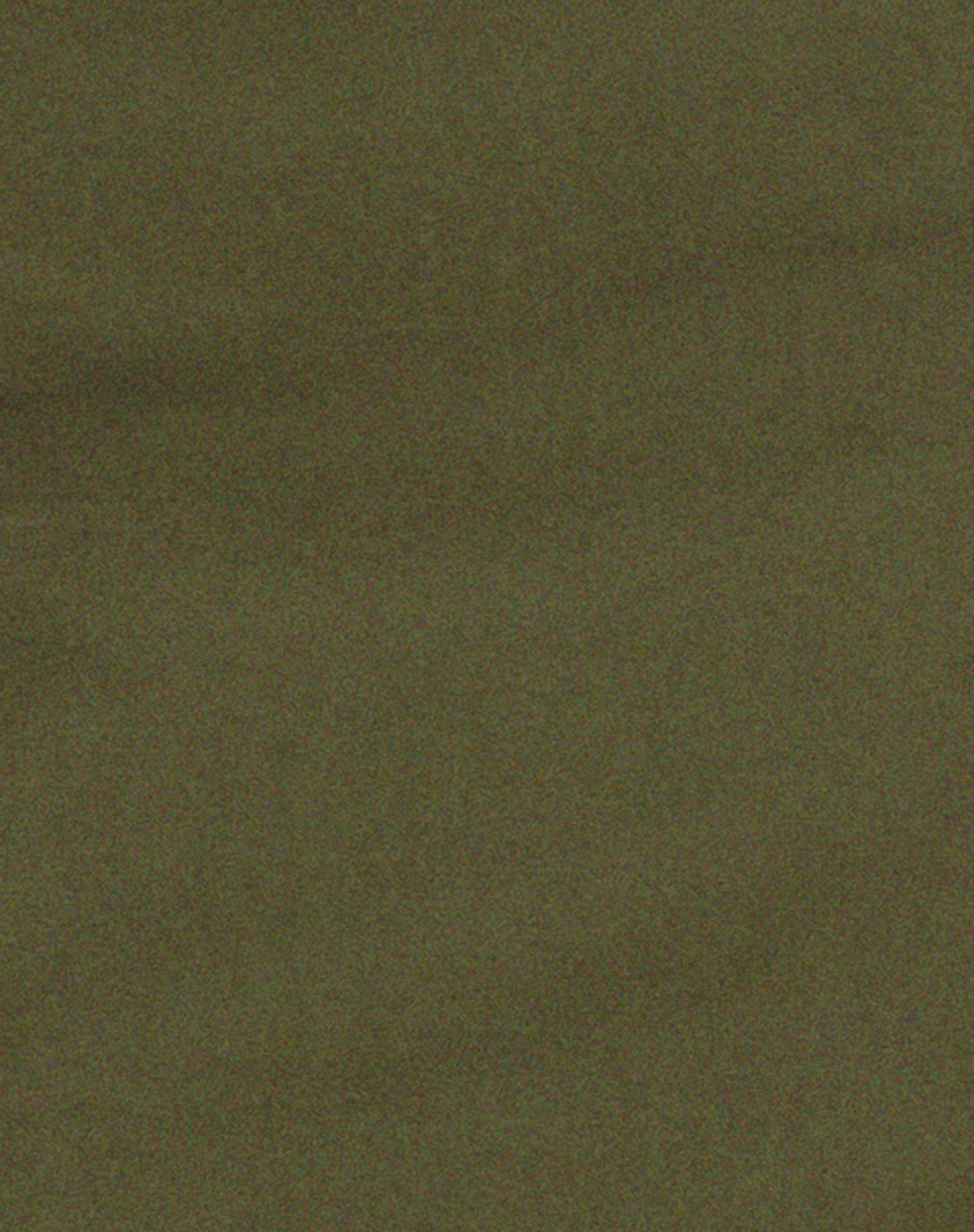 Sekoji Side Slit Midi Skirt in Khaki - Image 6
