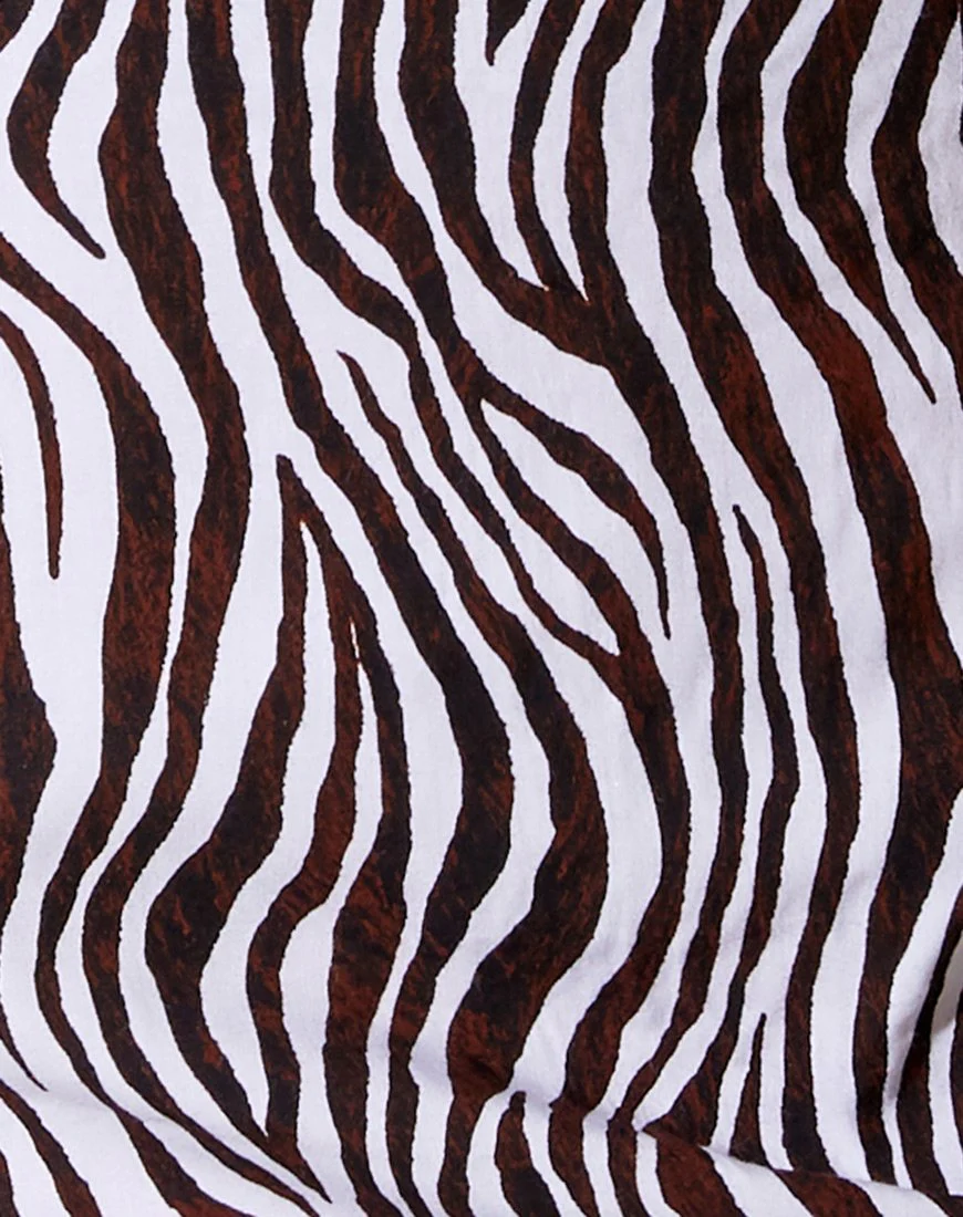 Shenka Mini Skirt in Zebra Vertical - Image 5