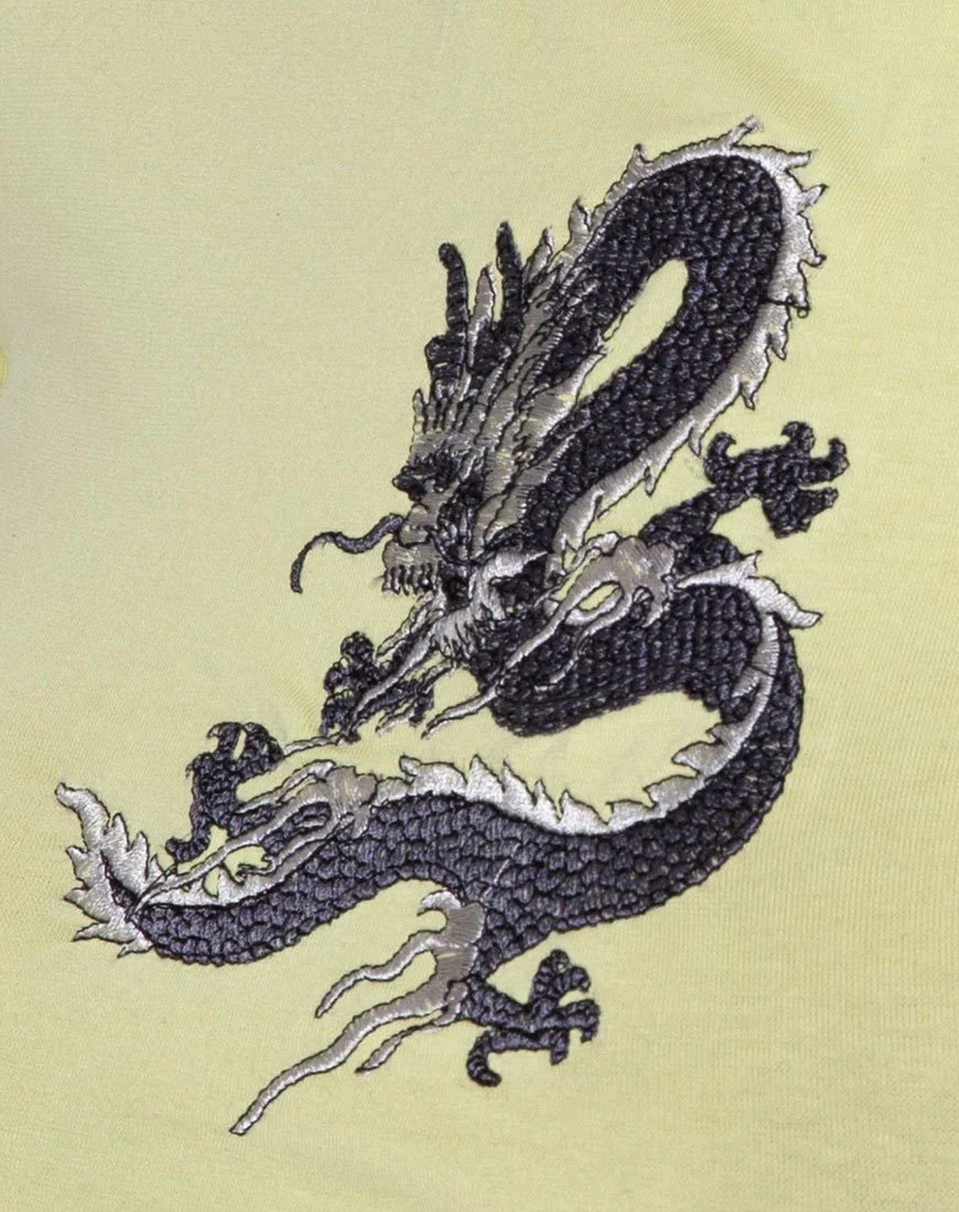 Tindy Crop Top in Pistachio Dragon Embro - Image 5