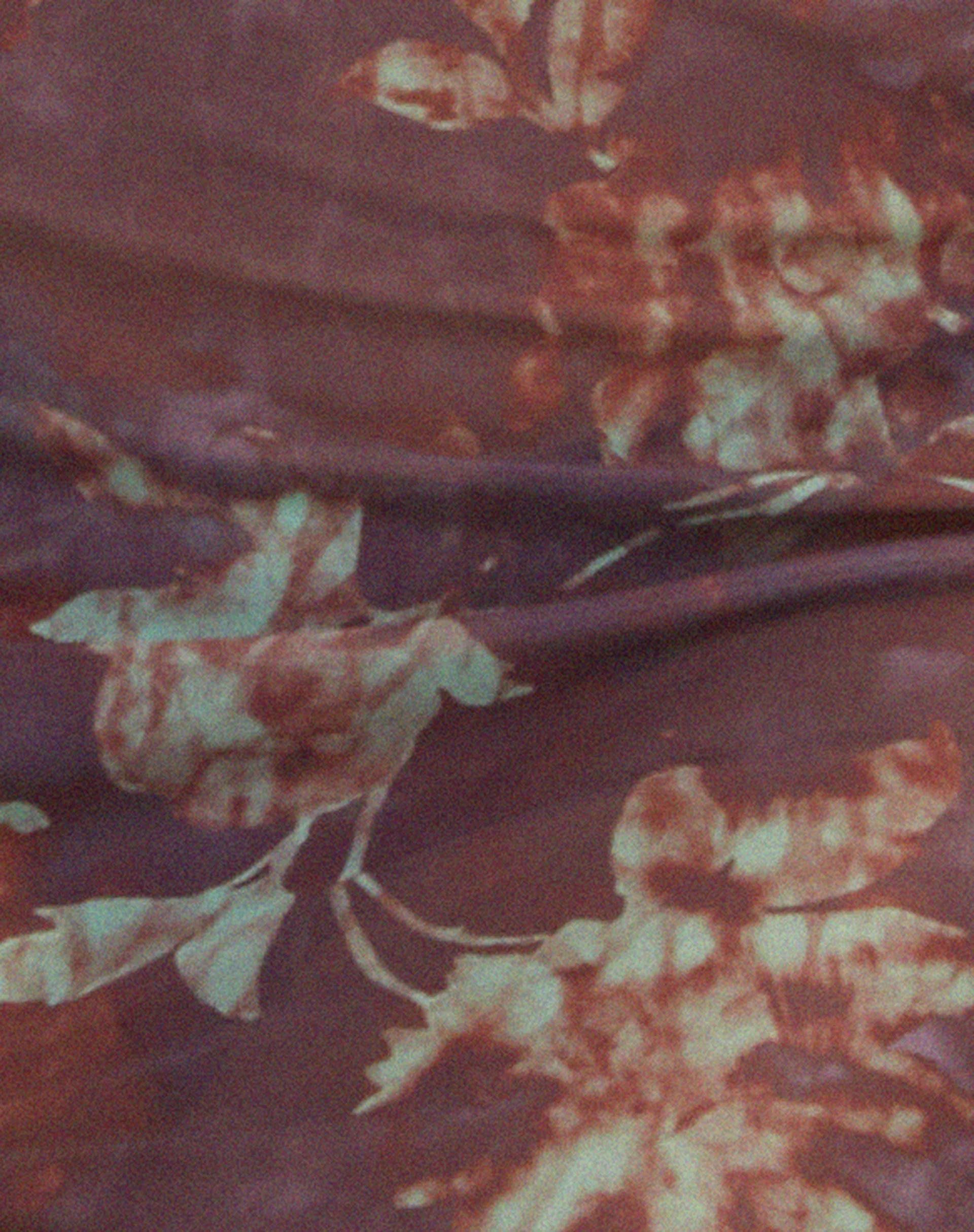 Zemira Long Sleeve Top in Botanical Animal Brown - Image 8